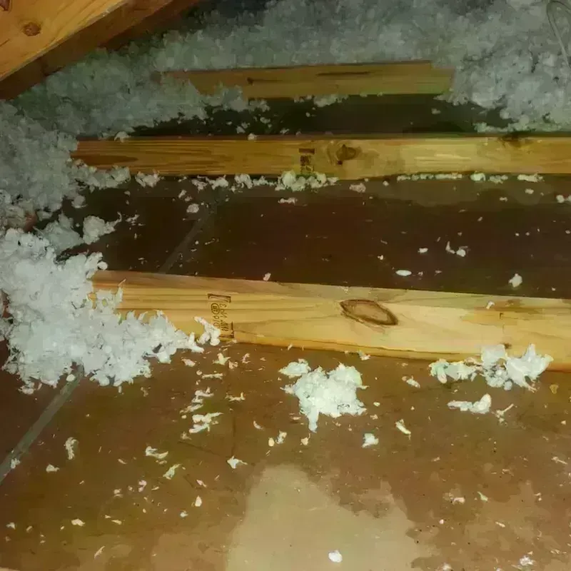 Attic Water Damage in Colfax, IL