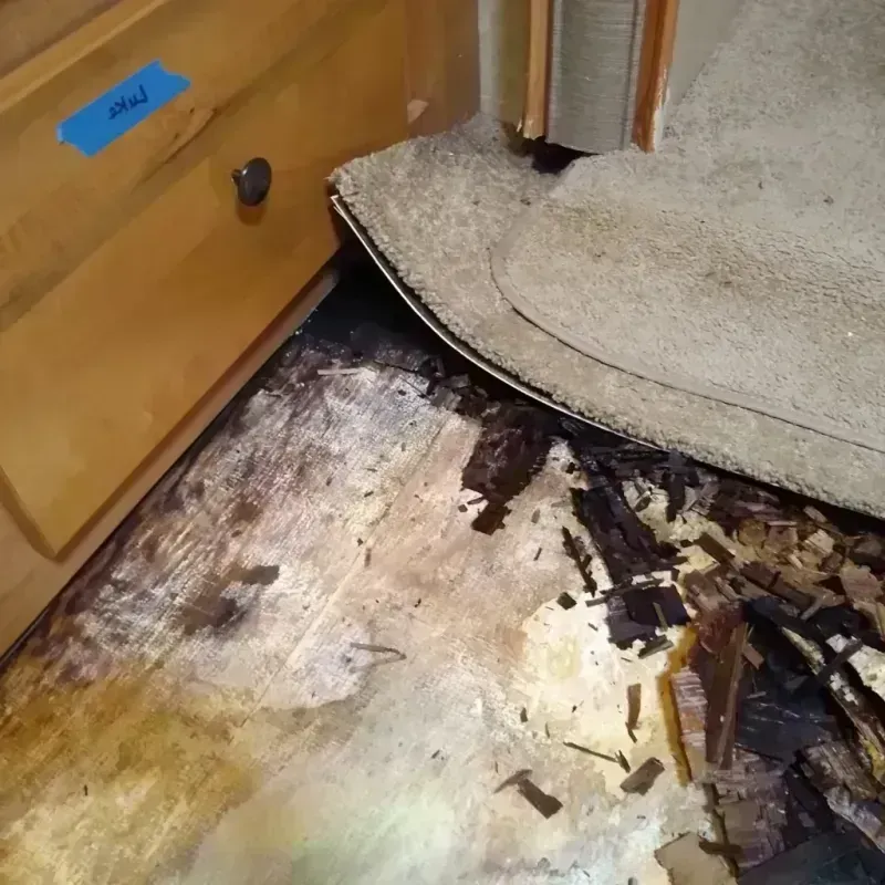 Wood Floor Water Damage in Colfax, IL